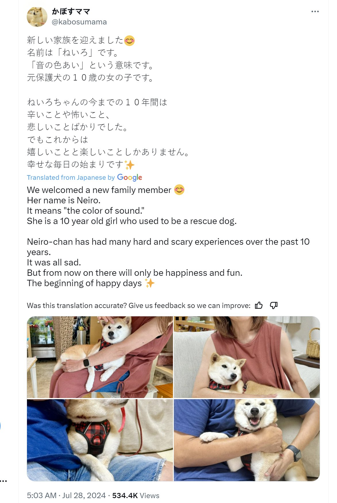 复盘Meme新币Neiro:两天市值近五千万美元,带单大师Ansem入局助推插图 复盘Meme新币Neiro:两天市值近五千万美元,带单大师Ansem入局助推